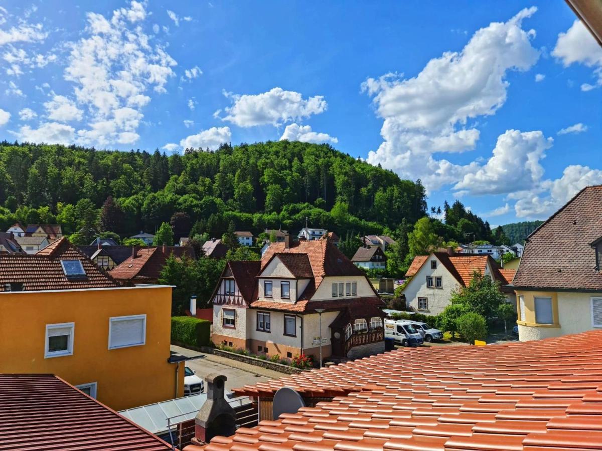 Pension Transilvania Immendingen Extérieur photo